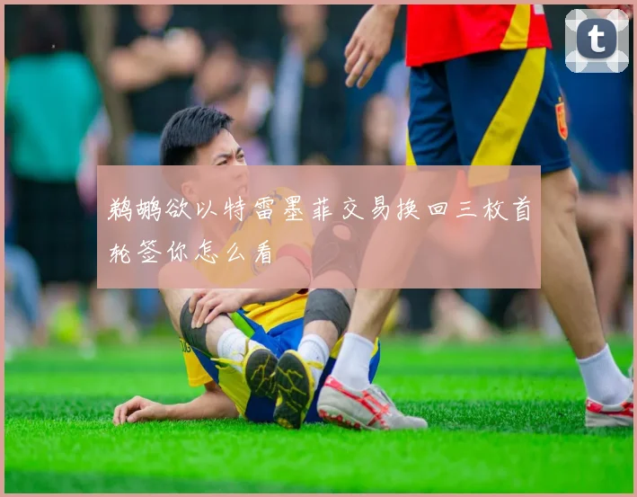 鹈鹕欲以特雷墨菲交易换回三枚首轮签你怎么看
